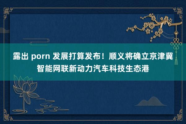 露出 porn 发展打算发布！顺义将确立京津冀智能网联新动力汽车科技生态港