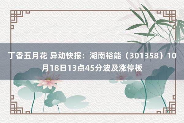 丁香五月花 异动快报：湖南裕能（301358）10月18日13点45分波及涨停板
