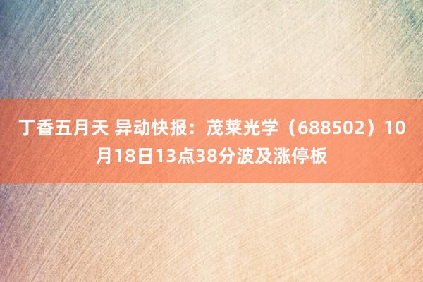 丁香五月天 异动快报：茂莱光学（688502）10月18日13点38分波及涨停板