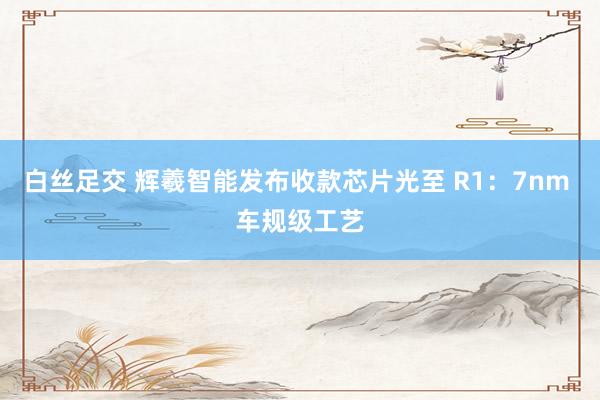 白丝足交 辉羲智能发布收款芯片光至 R1：7nm 车规级工艺