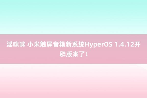 淫咪咪 小米触屏音箱新系统HyperOS 1.4.12开辟版来了！