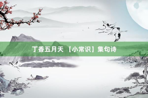 丁香五月天 【小常识】集句诗