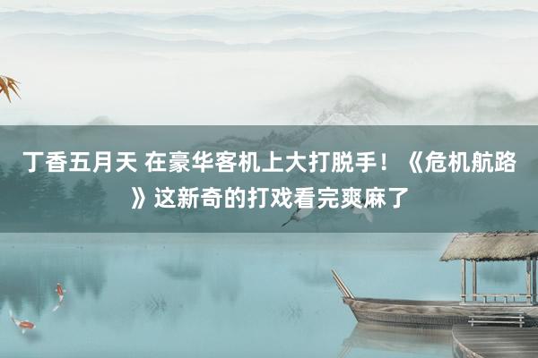 丁香五月天 在豪华客机上大打脱手！《危机航路》这新奇的打戏看完爽麻了
