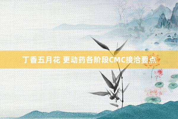 丁香五月花 更动药各阶段CMC接洽要点
