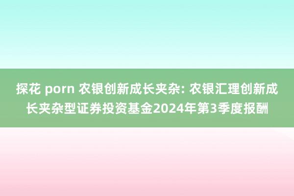 探花 porn 农银创新成长夹杂: 农银汇理创新成长夹杂型证券投资基金2024年第3季度报酬