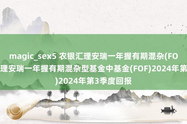 magic_sex5 农银汇理安瑞一年握有期混杂(FOF): 农银汇理安瑞一年握有期混杂型基金中基金(FOF)2024年第3季度回报