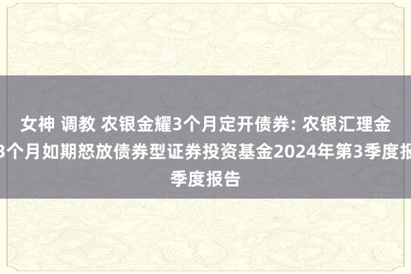 女神 调教 农银金耀3个月定开债券: 农银汇理金耀3个月如期怒放债券型证券投资基金2024年第3季度报告