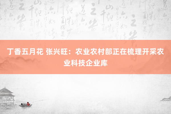 丁香五月花 张兴旺：农业农村部正在梳理开采农业科技企业库