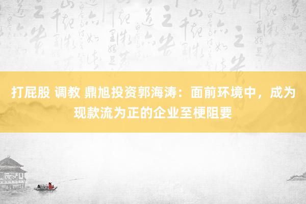 打屁股 调教 鼎旭投资郭海涛：面前环境中，成为现款流为正的企业至梗阻要