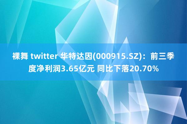 裸舞 twitter 华特达因(000915.SZ)：前三季度净利润3.65亿元 同比下落20.70%