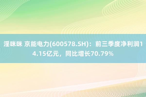 淫咪咪 京能电力(600578.SH)：前三季度净利润14.15亿元，同比增长70.79%