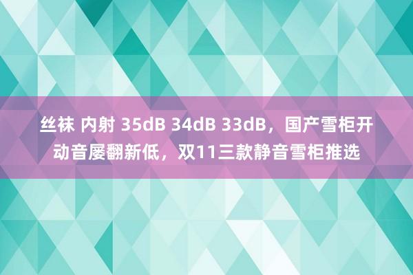 丝袜 内射 35dB 34dB 33dB，国产雪柜开动音屡翻新低，双11三款静音雪柜推选