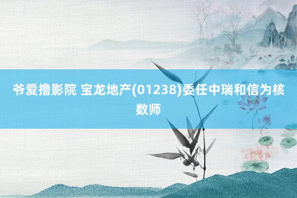 爷爱撸影院 宝龙地产(01238)委任中瑞和信为核数师
