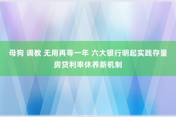 母狗 调教 无用再等一年 六大银行明起实践存量房贷利率休养新机制