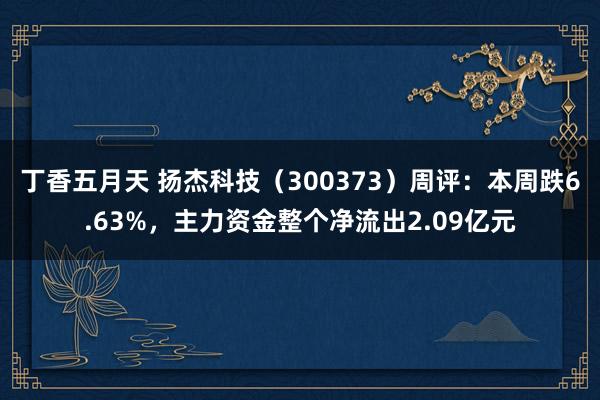 丁香五月天 扬杰科技（300373）周评：本周跌6.63%，主力资金整个净流出2.09亿元