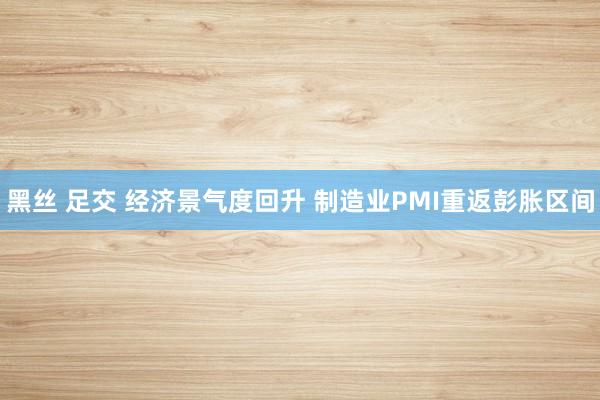 黑丝 足交 经济景气度回升 制造业PMI重返彭胀区间