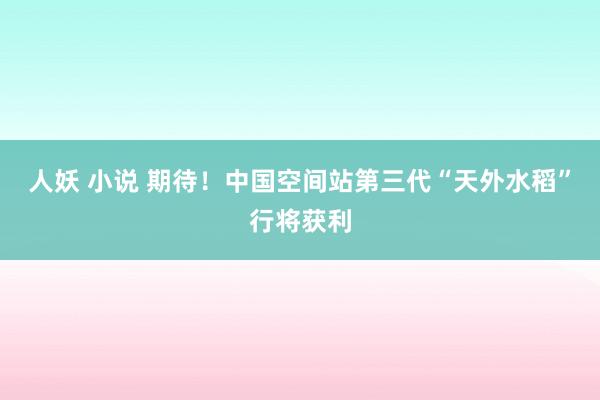 人妖 小说 期待！中国空间站第三代“天外水稻”行将获利