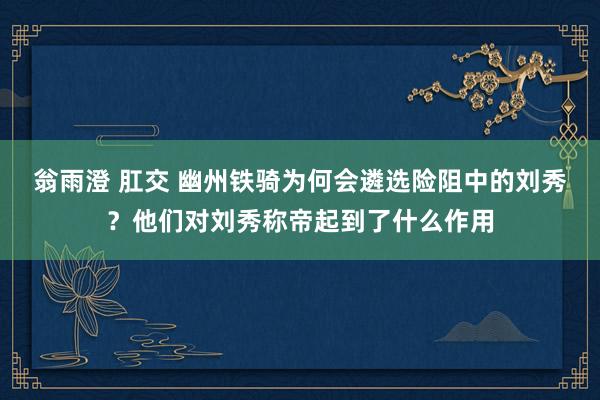 翁雨澄 肛交 幽州铁骑为何会遴选险阻中的刘秀？他们对刘秀称帝起到了什么作用