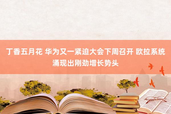 丁香五月花 华为又一紧迫大会下周召开 欧拉系统涌现出刚劲增长势头