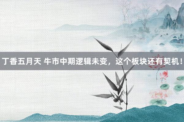 丁香五月天 牛市中期逻辑未变，这个板块还有契机！