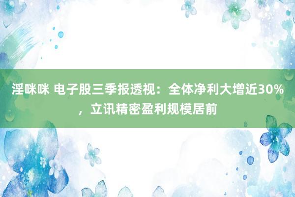 淫咪咪 电子股三季报透视：全体净利大增近30%，立讯精密盈利规模居前