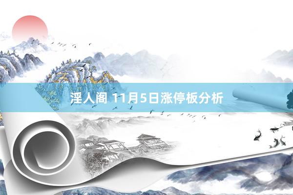 淫人阁 11月5日涨停板分析