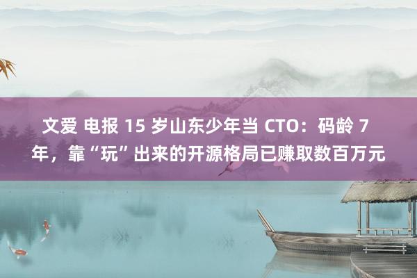 文爱 电报 15 岁山东少年当 CTO：码龄 7 年，靠“玩”出来的开源格局已赚取数百万元