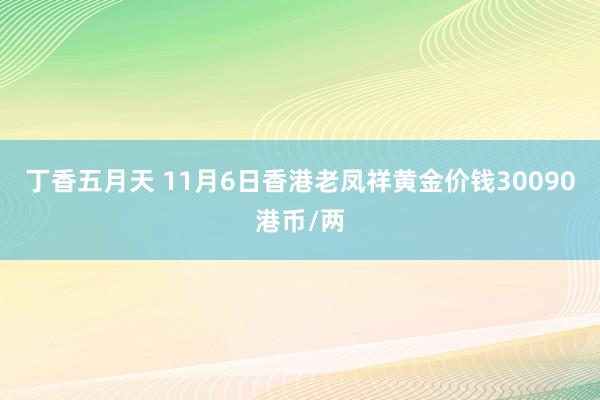 丁香五月天 11月6日香港老凤祥黄金价钱30090港币/两