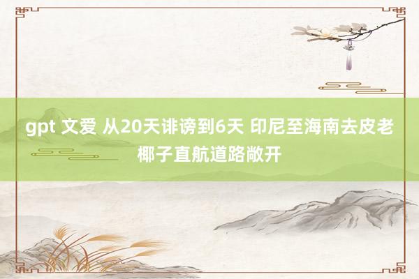 gpt 文爱 从20天诽谤到6天 印尼至海南去皮老椰子直航道路敞开