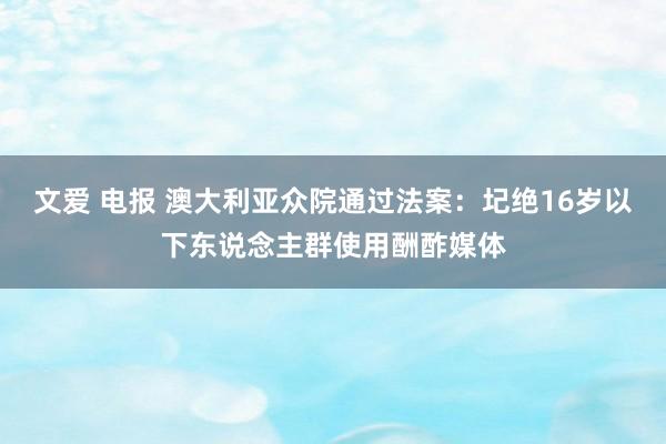 文爱 电报 澳大利亚众院通过法案：圮绝16岁以下东说念主群使用酬酢媒体