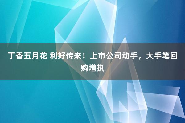 丁香五月花 利好传来！上市公司动手，大手笔回购增执