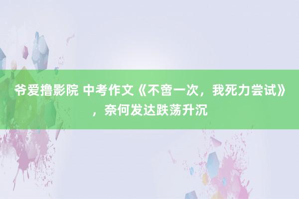 爷爱撸影院 中考作文《不啻一次,我死力尝试》,奈何发达跌荡升沉
