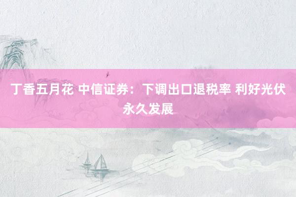 丁香五月花 中信证券：下调出口退税率 利好光伏永久发展