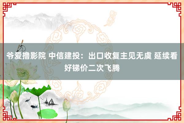 爷爱撸影院 中信建投：出口收复主见无虞 延续看好锑价二次飞腾
