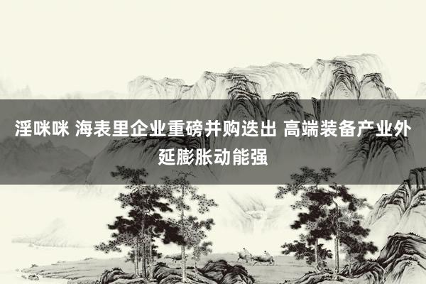 淫咪咪 海表里企业重磅并购迭出 高端装备产业外延膨胀动能强