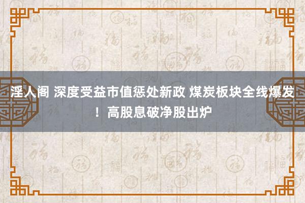 淫人阁 深度受益市值惩处新政 煤炭板块全线爆发！高股息破净股出炉