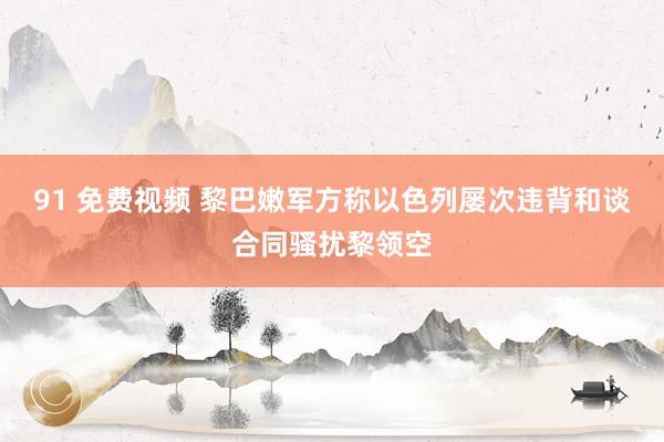 91 免费视频 黎巴嫩军方称以色列屡次违背和谈合同骚扰黎领空