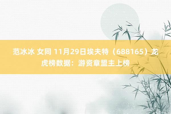范冰冰 女同 11月29日埃夫特（688165）龙虎榜数据：游资章盟主上榜