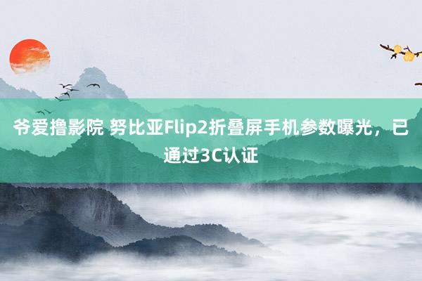 爷爱撸影院 努比亚Flip2折叠屏手机参数曝光，已通过3C认证