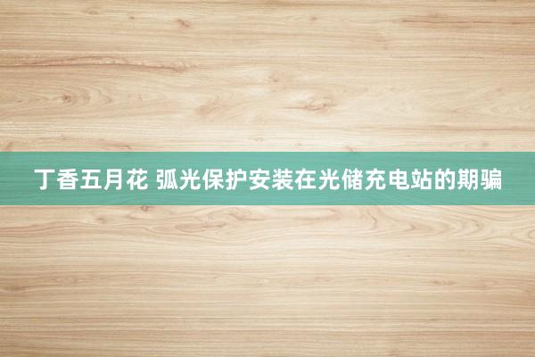 丁香五月花 弧光保护安装在光储充电站的期骗