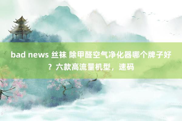 bad news 丝袜 除甲醛空气净化器哪个牌子好？六款高流量机型，速码
