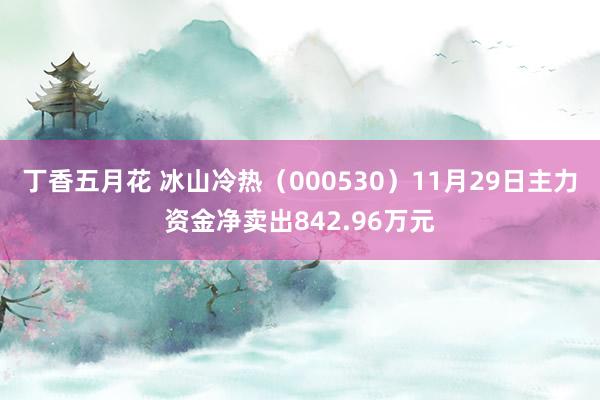 丁香五月花 冰山冷热（000530）11月29日主力资金净卖出842.96万元