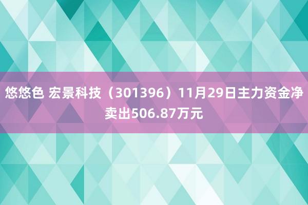 悠悠色 宏景科技（301396）11月29日主力资金净卖出506.87万元