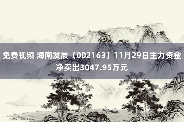 免费视频 海南发展（002163）11月29日主力资金净卖出3047.95万元