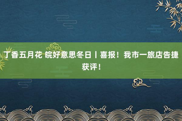 丁香五月花 皖好意思冬日丨喜报！我市一旅店告捷获评！