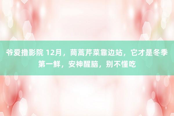 爷爱撸影院 12月，茼蒿芹菜靠边站，它才是冬季第一鲜，安神醒脑，别不懂吃
