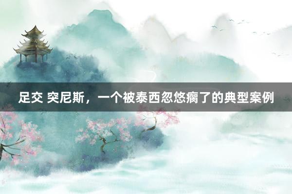 足交 突尼斯，一个被泰西忽悠瘸了的典型案例