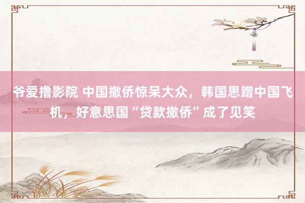 爷爱撸影院 中国撤侨惊呆大众，韩国思蹭中国飞机，好意思国“贷款撤侨”成了见笑