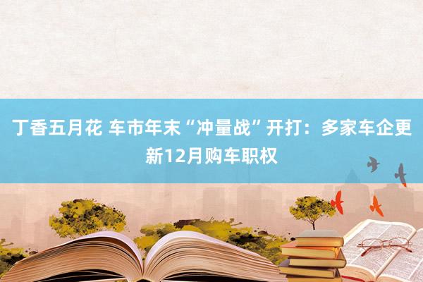 丁香五月花 车市年末“冲量战”开打：多家车企更新12月购车职权