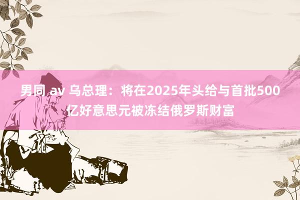 男同 av 乌总理：将在2025年头给与首批500亿好意思元被冻结俄罗斯财富